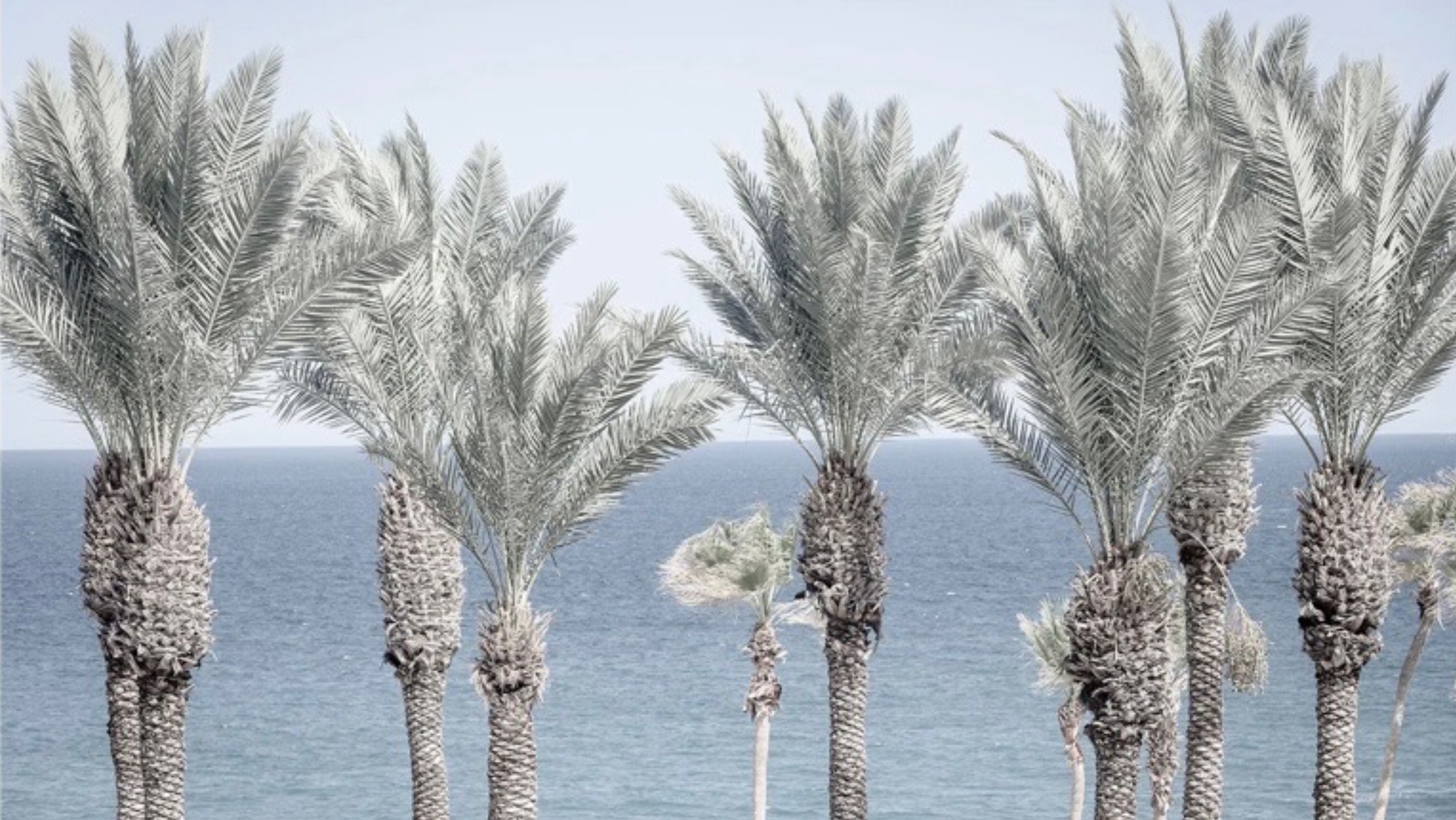 wedding-website-bg-image.jpg (2)